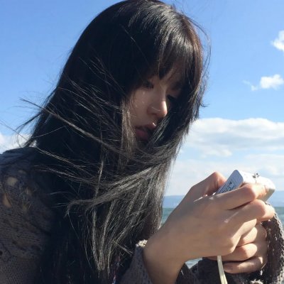 疯狂的狮王